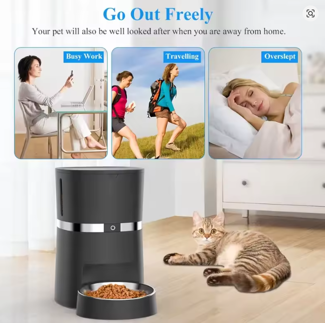 Cat resting near the pet feeder - go out freely, your pet is taken care of while you're at work, traveling, or sleeping in