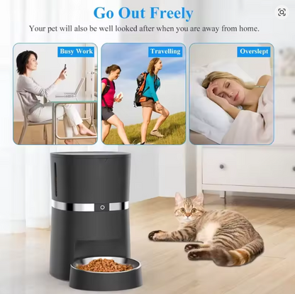 Cat resting near the pet feeder - go out freely, your pet is taken care of while you're at work, traveling, or sleeping in
